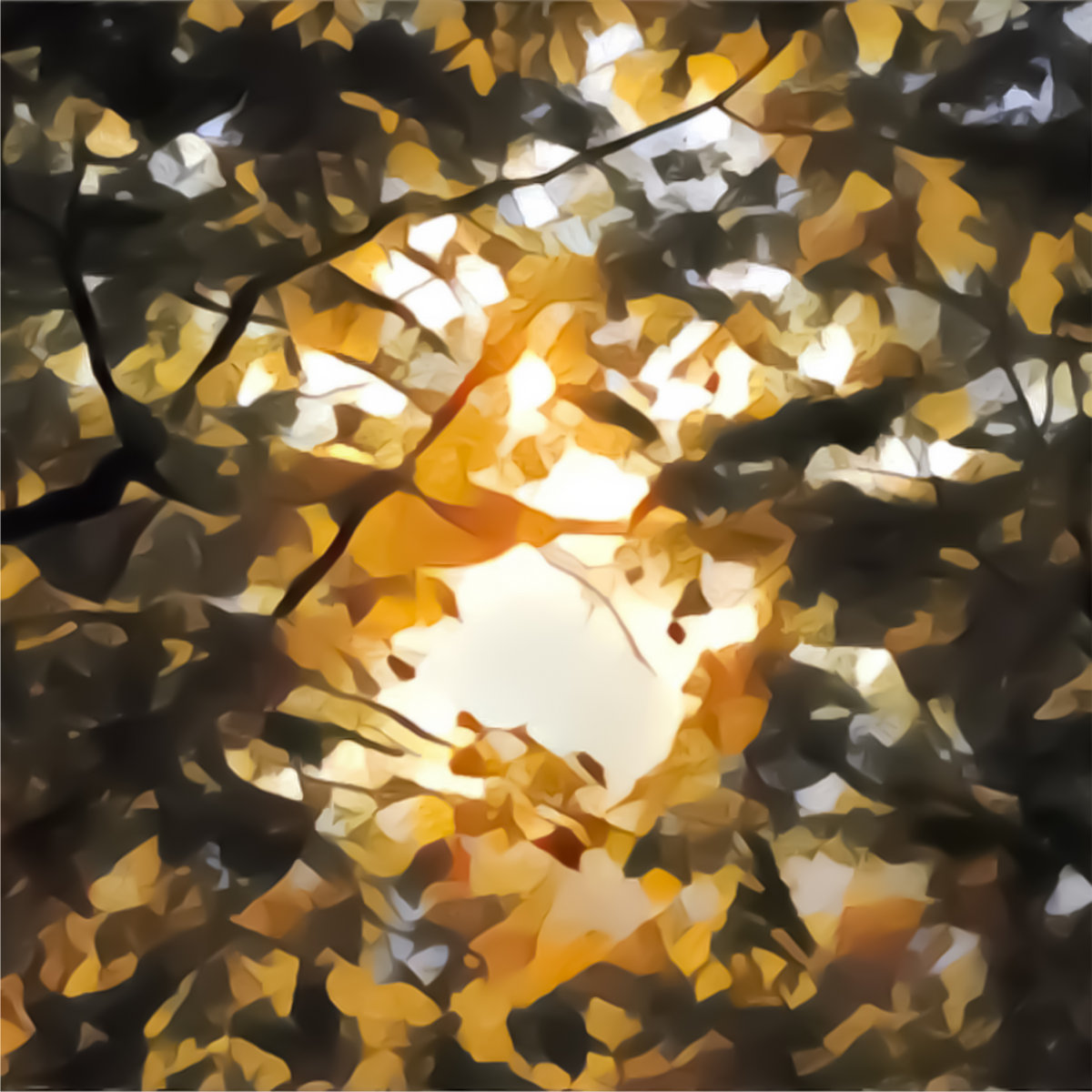 Better Days by Headstay